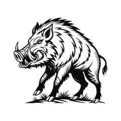 Wild boar vector illustration, hand drawn style, monochrome design, detailed vector, isolated on a white background