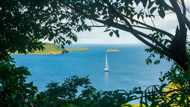 Vue de la baie des Saintes  avec un arbre, la mer bleue et un voilier qui navigue par une journ&eacute;e ensoleill&eacute;e et des nuages