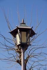 倉敷美観地区　春宵まつりの一日
