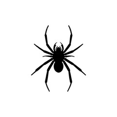 Spider Silhouette Vector