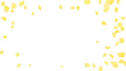 Frame illustration realistic yellow rose petals flying or falling motion, floral spring season