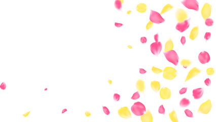Rose petals pink and yellow color background. beautiful floral love season, greeting card