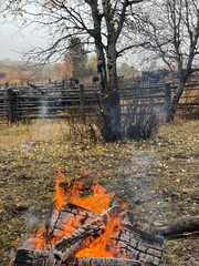 campfire next to Angus cattle corrals in forested mountains