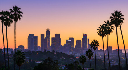 City Sunset Palm Trees Silhouette Panorama