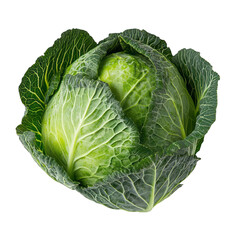 Obraz premium Fresh green cabbage, vibrant and healthy, perfect for culinary projects, diet, and organic food concepts. Crisp, natural addition to your fresh produce collection, enhancing meals with nutrition.