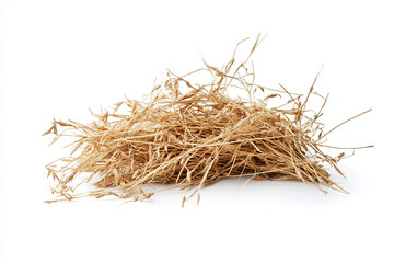 dry grass isolated on white background