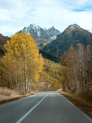 A road with an autumn landscape with a backdrop of mountains