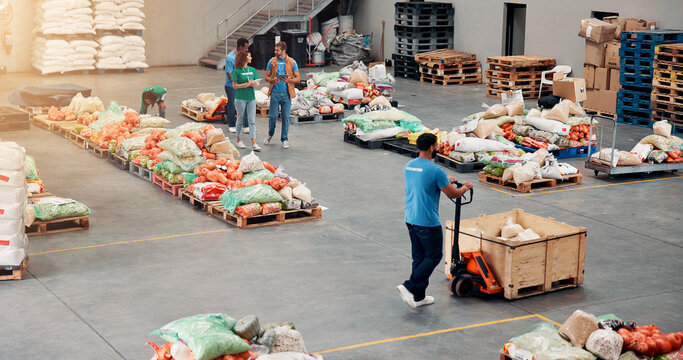 People, volunteer and food distribution at warehouse, community charity and humanitarian crisis. Staff, helping and machine with groceries for courier services, homeless donation and parcel logistics