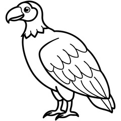 Clean and Modern Vulture Line Drawing