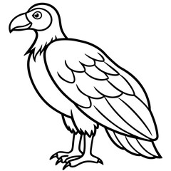 Clean and Modern Vulture Line Drawing