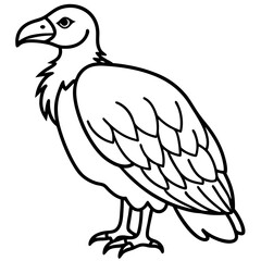 Clean and Modern Vulture Line Drawing