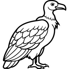 Clean and Modern Vulture Line Drawing