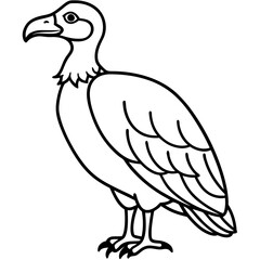Obraz premium Clean and Modern Vulture Line Drawing