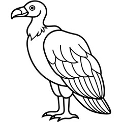 Clean and Modern Vulture Line Drawing