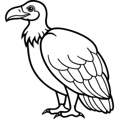 Clean and Modern Vulture Line Drawing