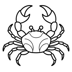 Clean and Stylish Crab Line Art