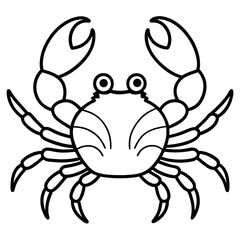 Clean and Stylish Crab Line Art