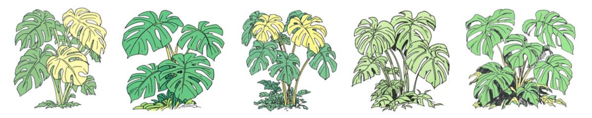 Obraz premium PNG Tropical monstera leaves illustration, element set on transparent background