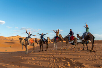 camels in the Sahara Desert
