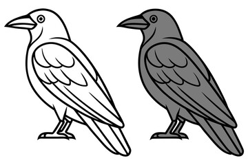 Crow Outlines and Silhouette Simple Cartoon Raven Illustration, Black Bird Icon, Standing On White Background