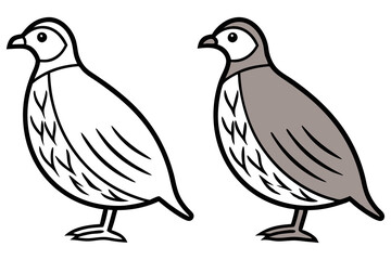 Quail Line Art, Black and White, One in Grayscale, Isolated on White Background, Bird Icon