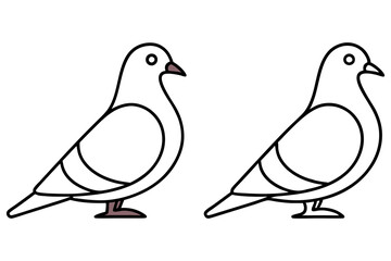 Simple Line Art Featuring Two Pigeon Drawings on a White Background, Minimalist Style