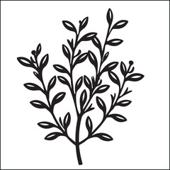 Thyme Herb black silhouette