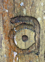 Written Wording in Distressed State Typography Found Ransom Letter A