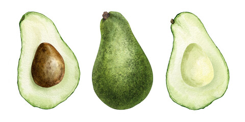 Avocado halves fruit and whole ripe avocado set. Isolated hand drawn Collection of watercolor illustrations. Clipart of green Vegetables for menu, packaging of food, cosmetics, fabrics, cards, recipe