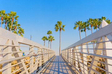 Vibrant Long Beach Pier with Palm Trees Against Clear Blue Sky