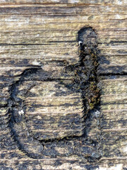 Written Wording in Distressed State Typography Found Ransom Letter D