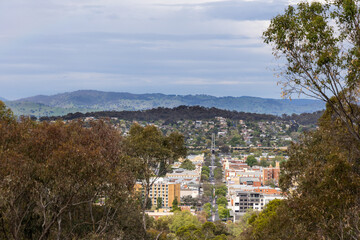 Obraz premium Elevated view of Albury town from Monument Hill with lush foliage in New South Wales, Australia