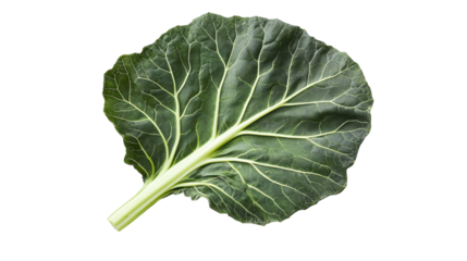 Close-up of a vibrant green collard green leaf against a white background.