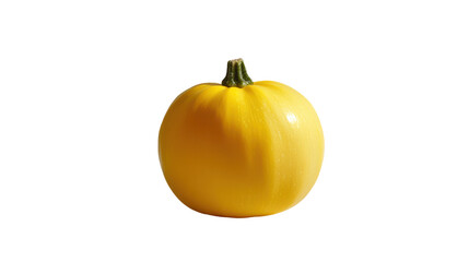 Obraz premium A vibrant yellow squash resting against a clean background.