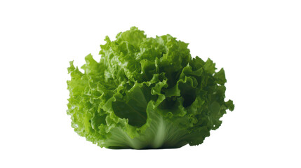 Fresh, vibrant green lettuce head showcasing crisp, frilly leaves.