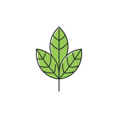 green leaves vector illustration