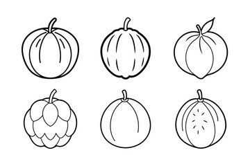 Monkey Bread Fruit – Adansonia digitata line art vector illustration