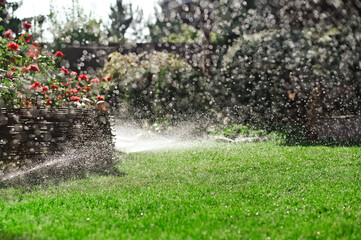 Obraz premium Sprinkler system in backyard of private house watering lawn and shrubs, ensuring lush greenery. this keeps lawn and shrubs vibrant and healthy, enhancing the beauty of backyard.