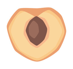 Vector isolated simple half peach illustration
