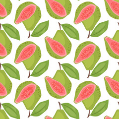 Vector seamless pattern with guavas on white background