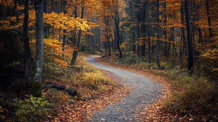 Naklejka premium Winding autumn path through forest; misty background; nature scene; travel, wallpaper