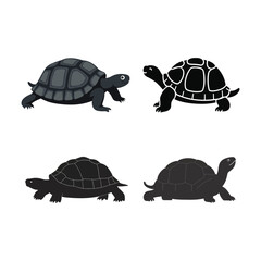 turtle vector illustration.