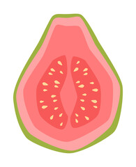 Vector isolated simple half guava illustration