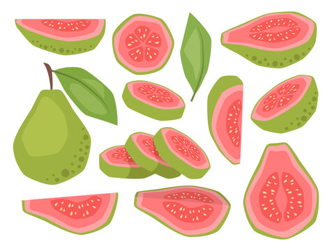 Vector isolated set of guavas, whole, half and slices