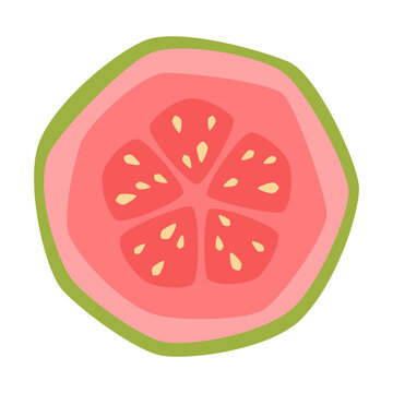Vector isolated slice of guava