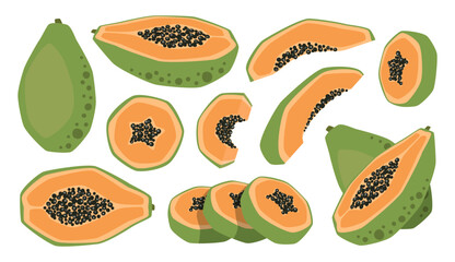 Vector isolated set of papayas, whole, half and slices