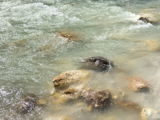 Obraz premium fast-flowing river water rushing over huge stones. movement and energy concept. living water. crystal-clear mountain river. water movement