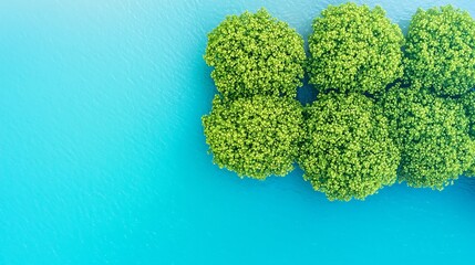 Lush Green Shrubs on Calm Azure Water Surface from Above Perspective
