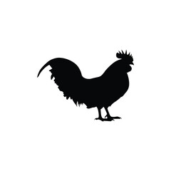 Abstract Rooster Silhouette for Modern and Creative Branding