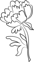 hand drawn flower